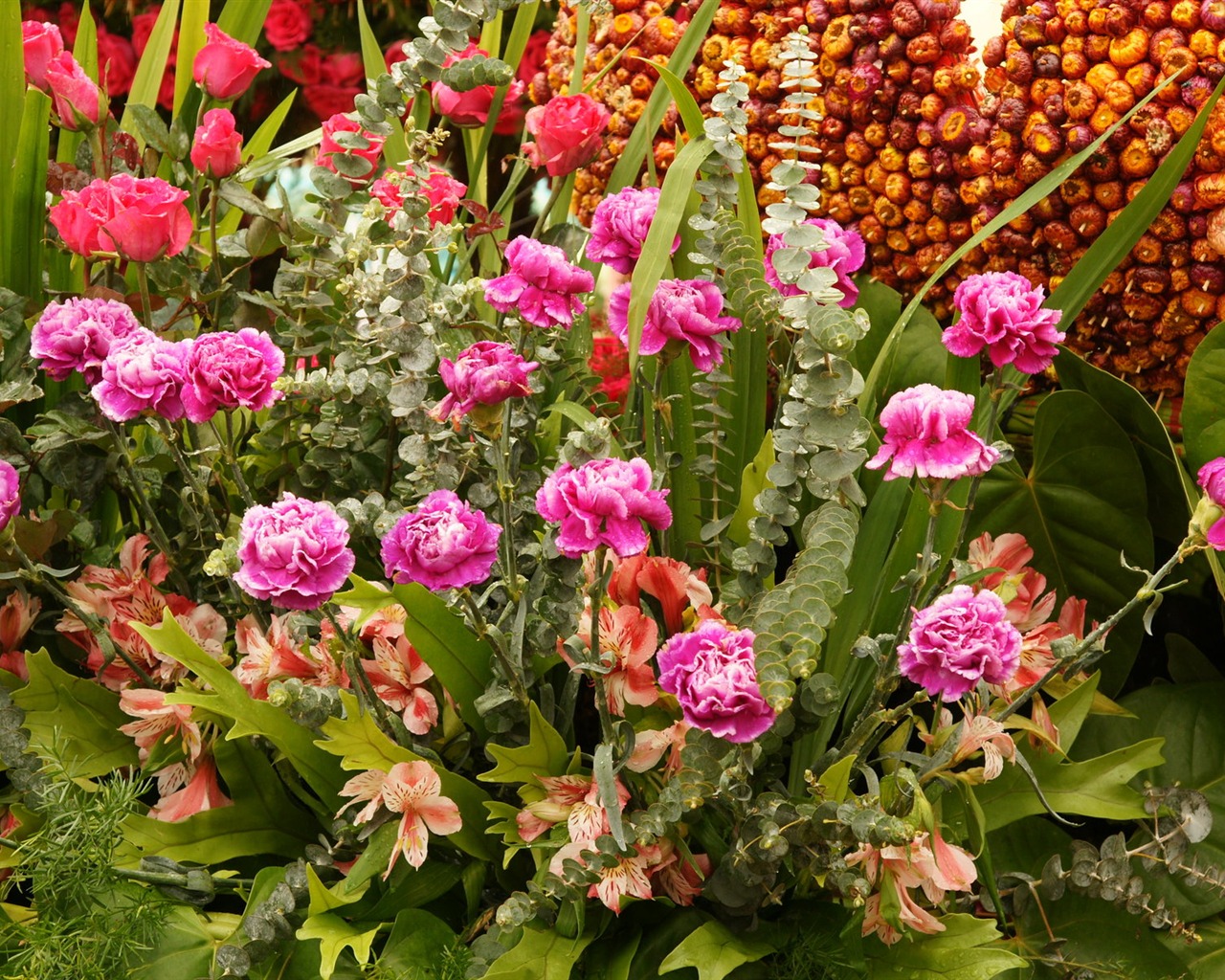 Barevné květy zdobí tapety (2) #4 - 1280x1024
