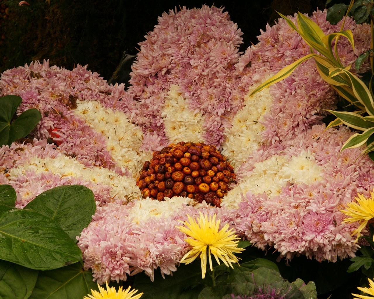 Barevné květy zdobí tapety (2) #15 - 1280x1024