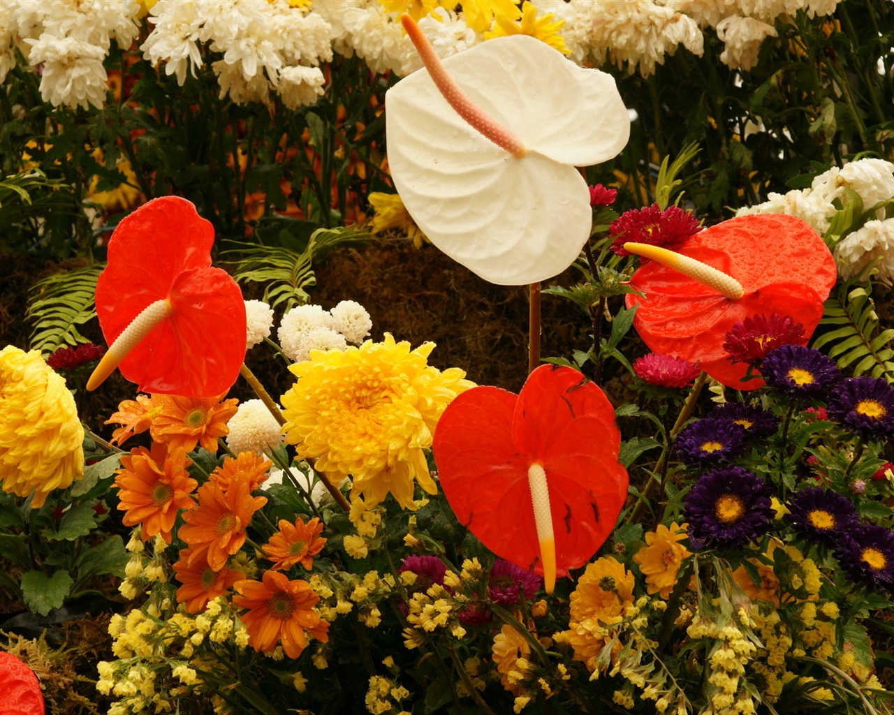 fleurs colorées décorent fond d'écran (2) #17 - 1280x1024