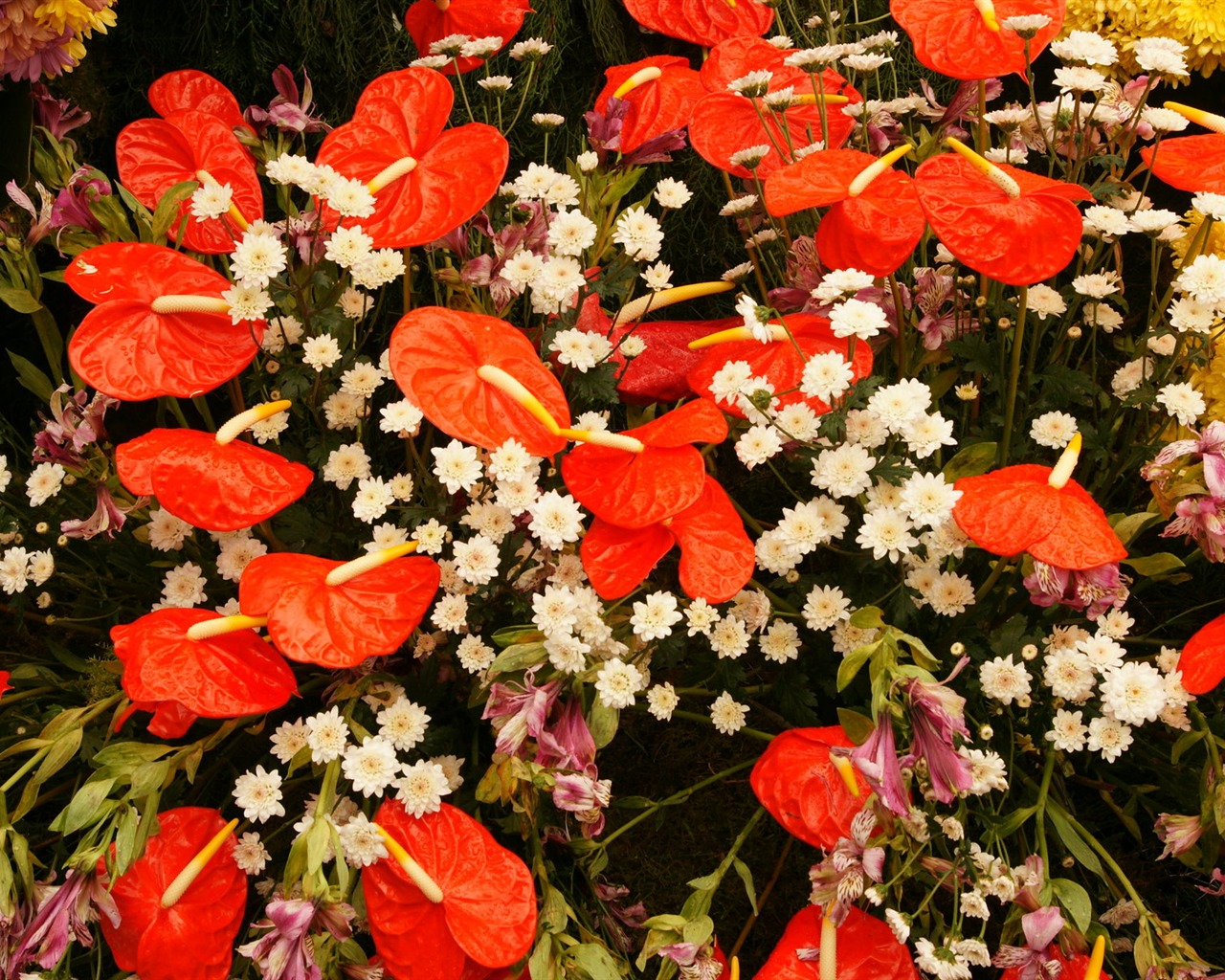Colorful flowers decorate wallpaper (3) #13 - 1280x1024