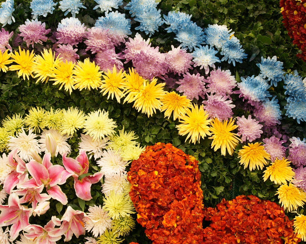 Colorful flowers decorate wallpaper (4) #1 - 1280x1024