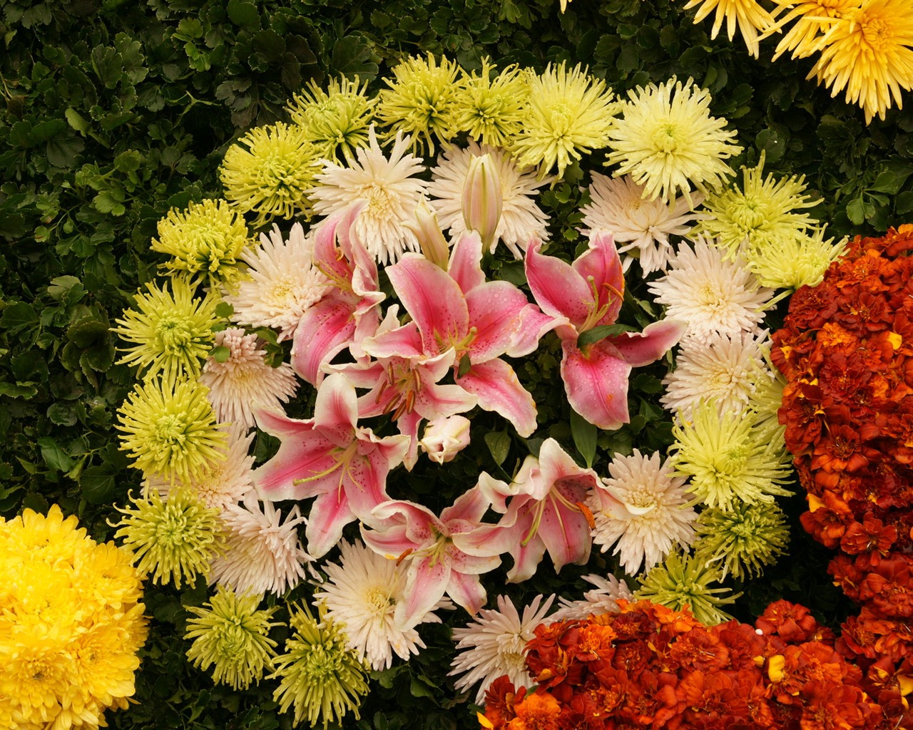 fleurs colorées décorent fond d'écran (4) #3 - 1280x1024