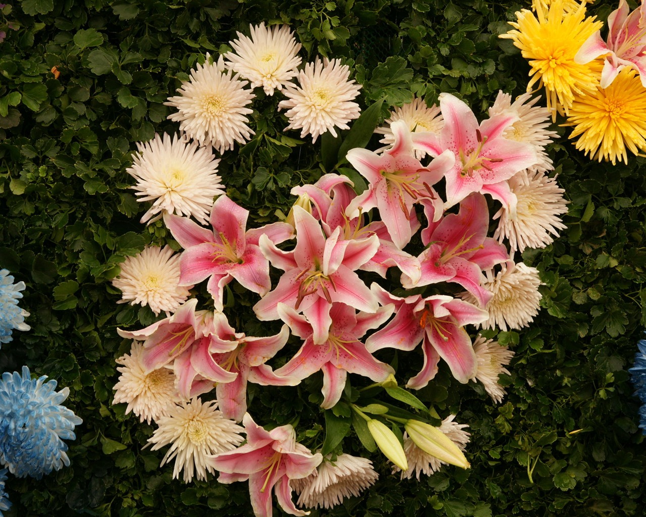 fleurs colorées décorent fond d'écran (4) #4 - 1280x1024