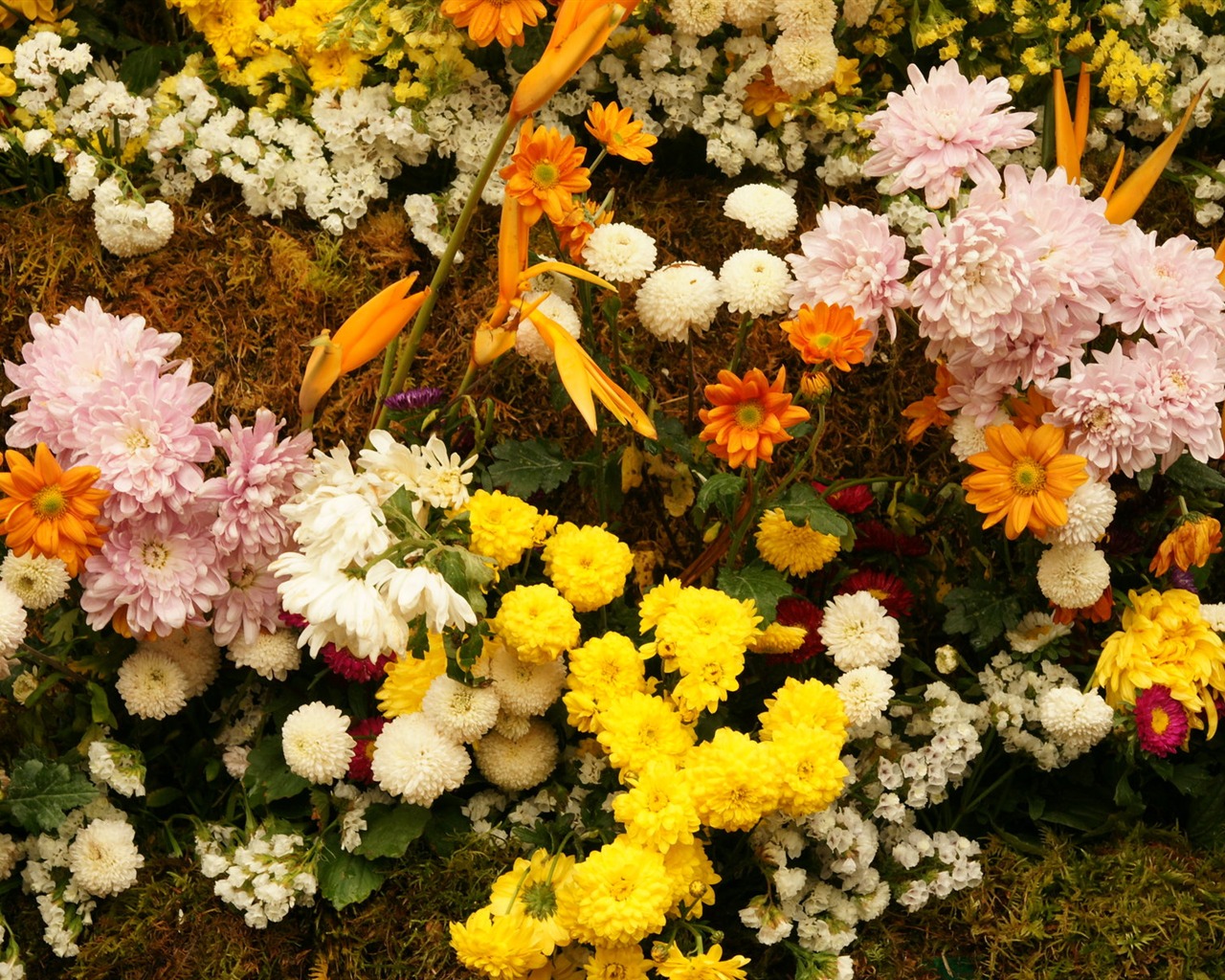 fleurs colorées décorent fond d'écran (4) #9 - 1280x1024
