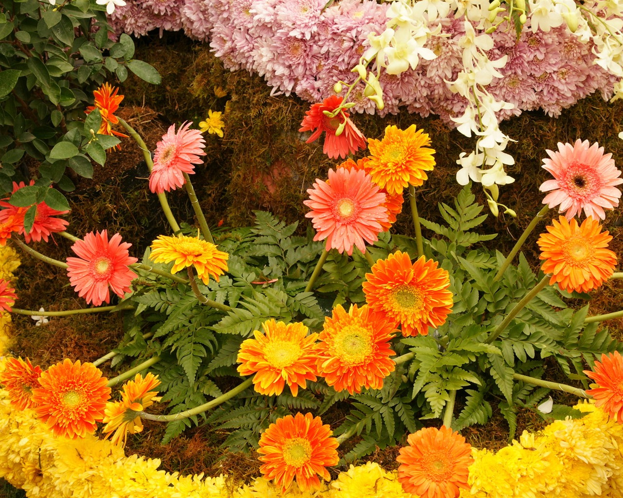 Colorful flowers decorate wallpaper (4) #19 - 1280x1024