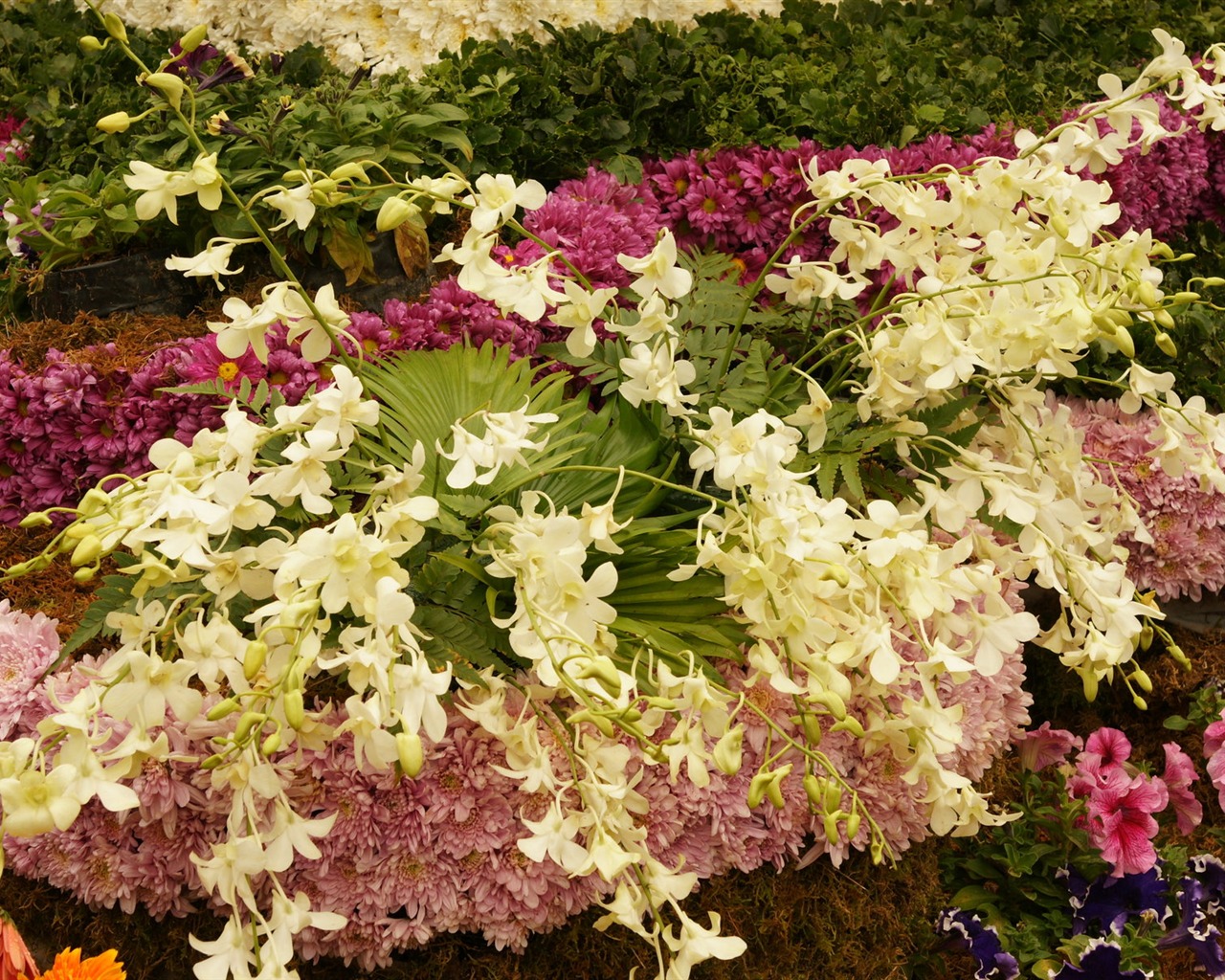 fleurs colorées décorent fond d'écran (4) #20 - 1280x1024
