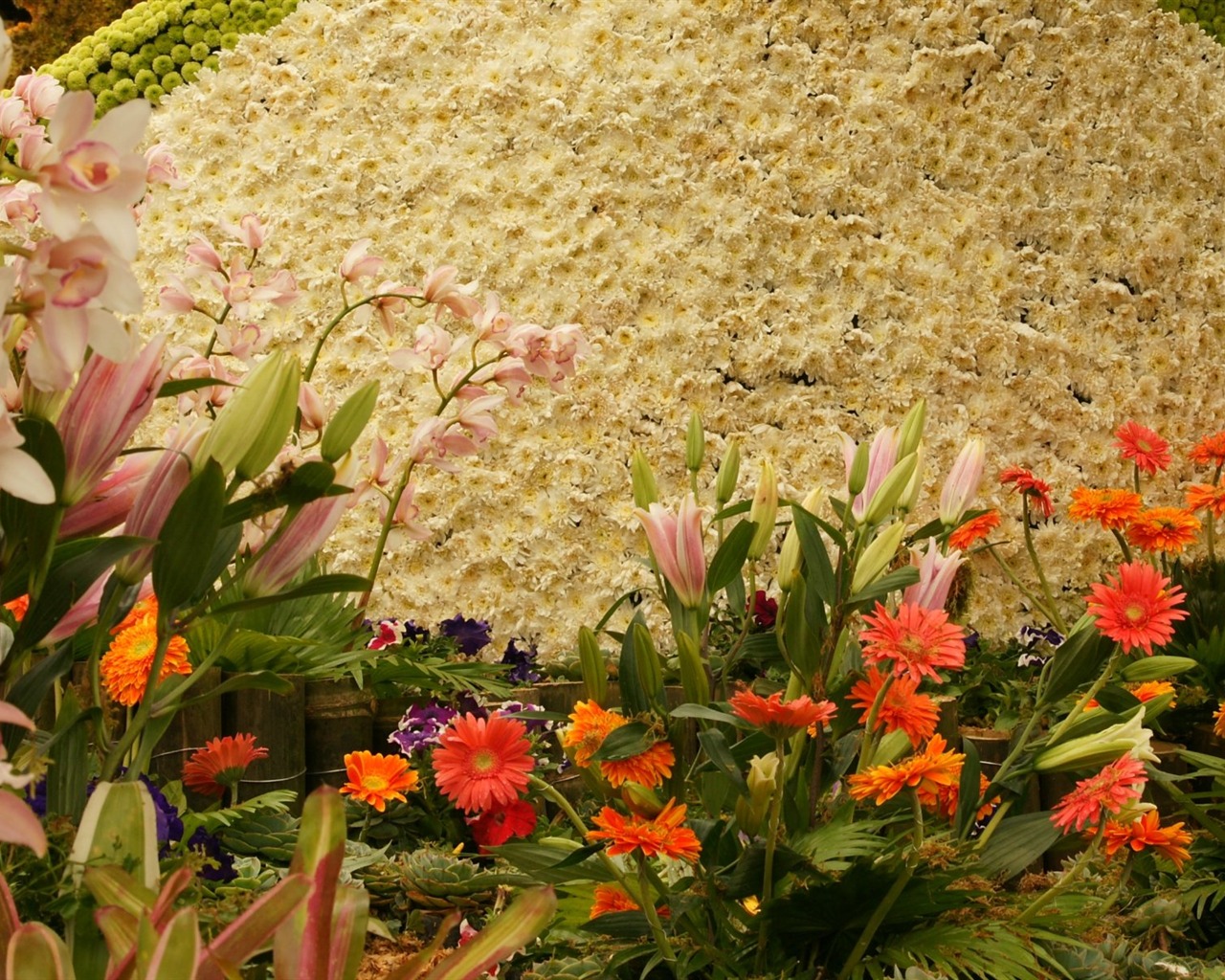 Widescreen wallpaper flowers close-up (31) #17 - 1280x1024