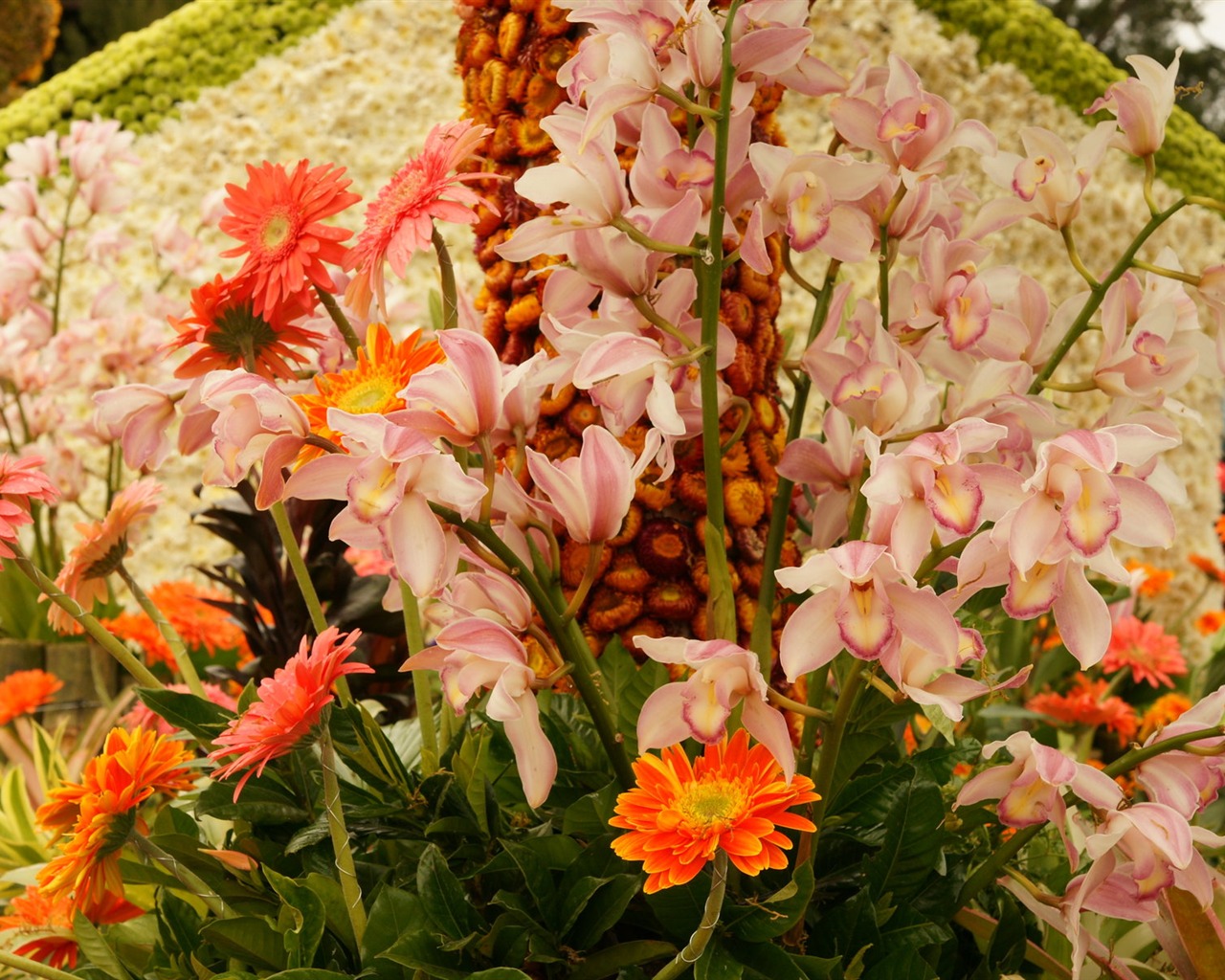 Widescreen wallpaper flowers close-up (31) #20 - 1280x1024