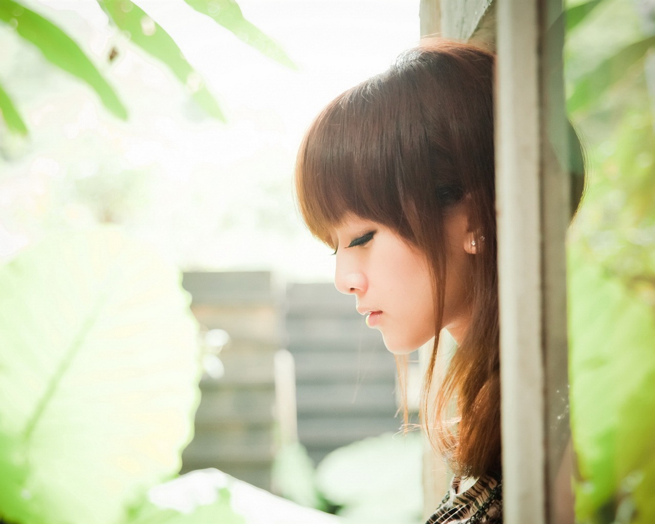 Tchaj-wan MM ovoce wallpaper album (9) #3 - 1280x1024