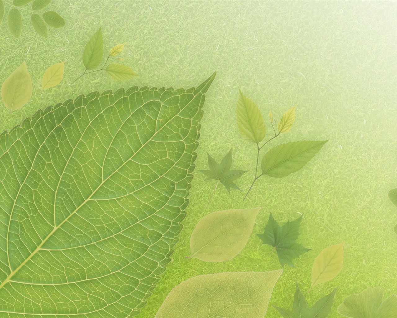 緑と自然の壁紙 (4) #6 - 1280x1024