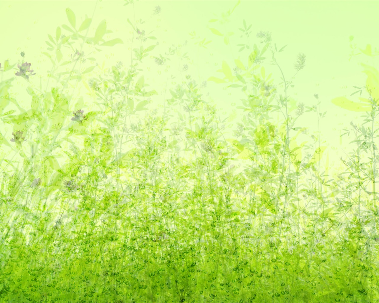 Green and Natural Wallpaper (4) #11 - 1280x1024