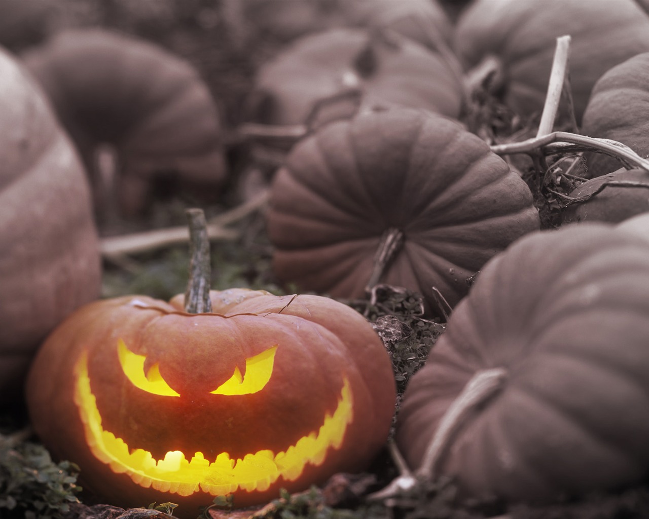 Windows7 Wallpaper Halloween Theme #1 - 1280x1024