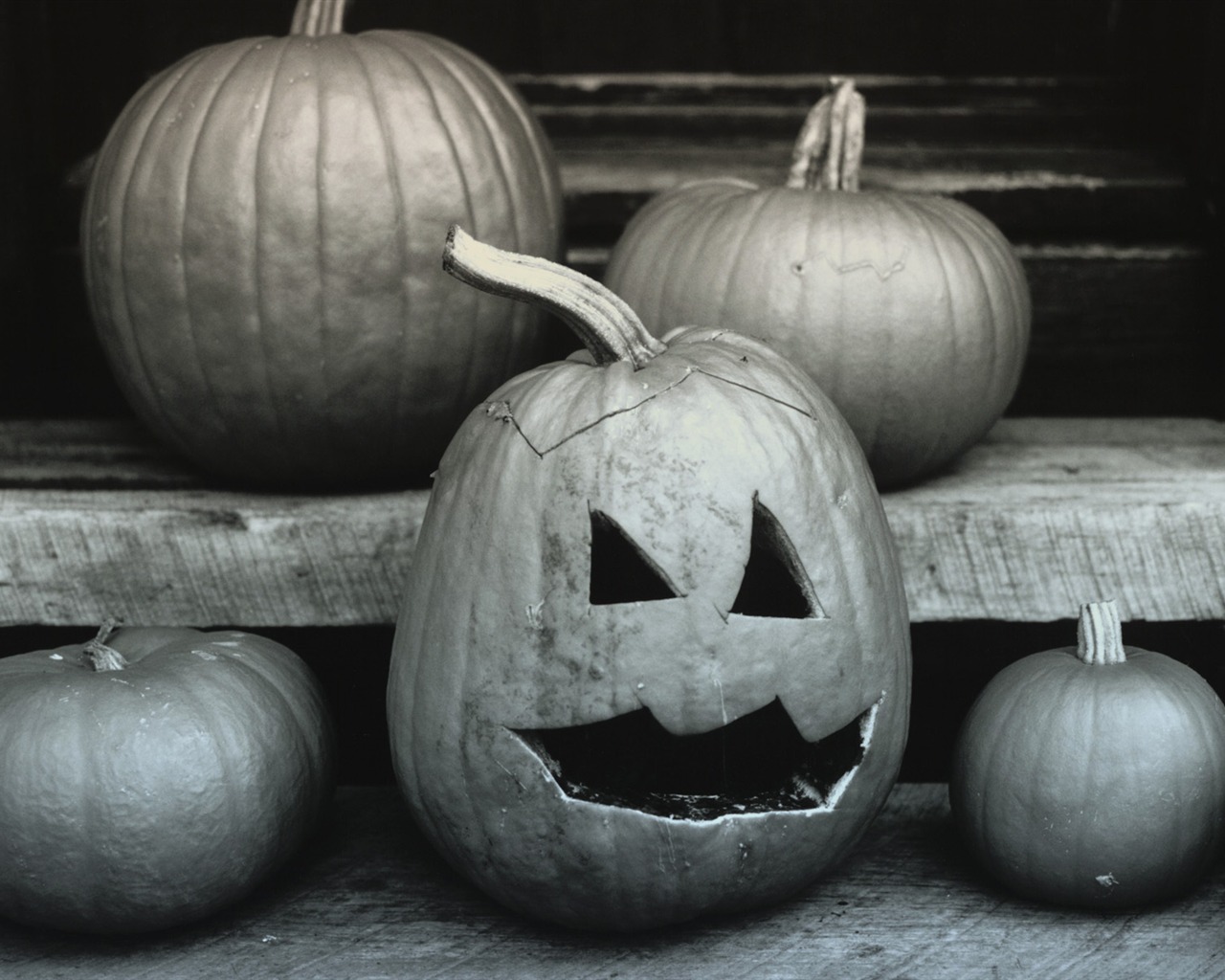 Windows7 Tapeta Halloween téma #7 - 1280x1024