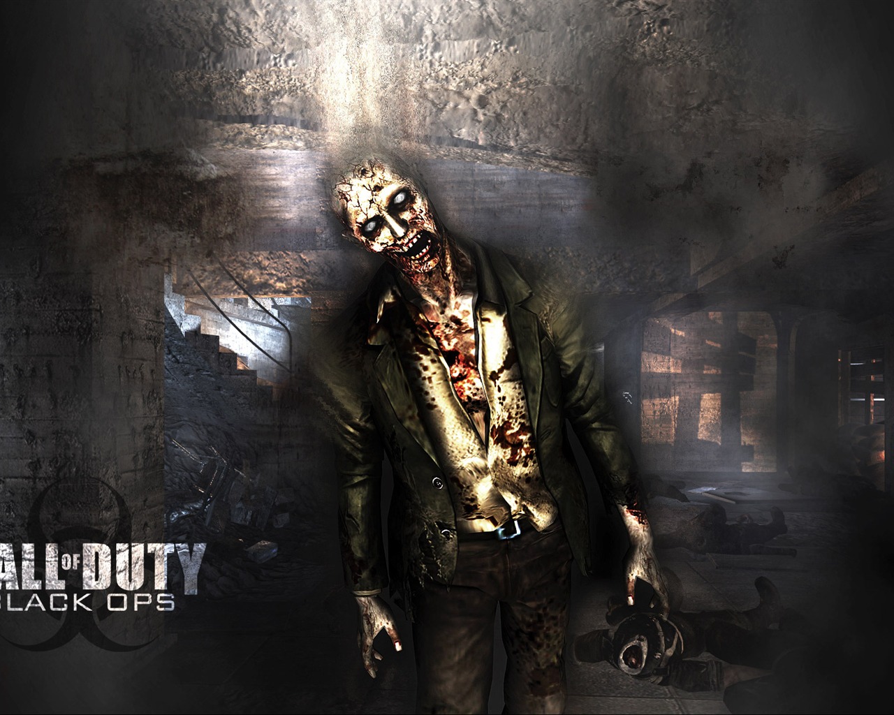 Call of Duty: Black Ops HD tapetu (2) #5 - 1280x1024
