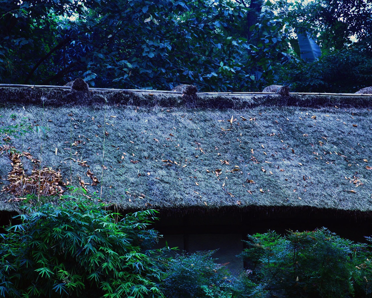 Chengdu Impression wallpaper (2) #16 - 1280x1024