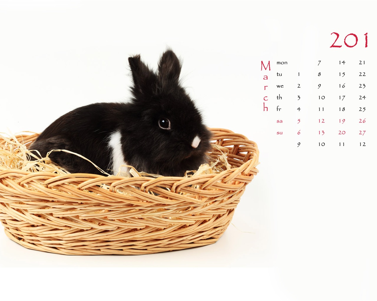 Year of the Rabbit 2011 calendar wallpaper (1) #3 - 1280x1024