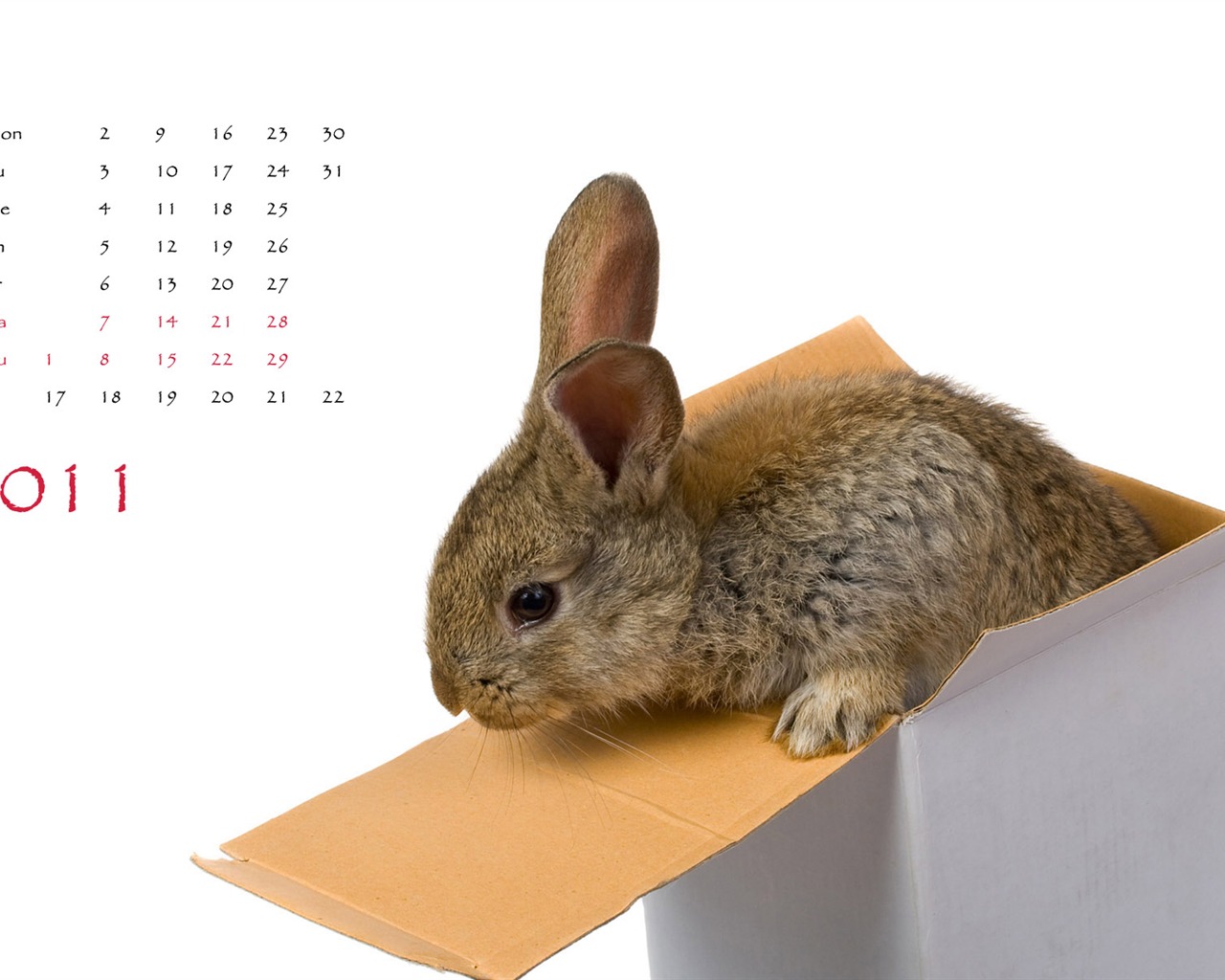 Year of the Rabbit 2011 calendar wallpaper (1) #5 - 1280x1024
