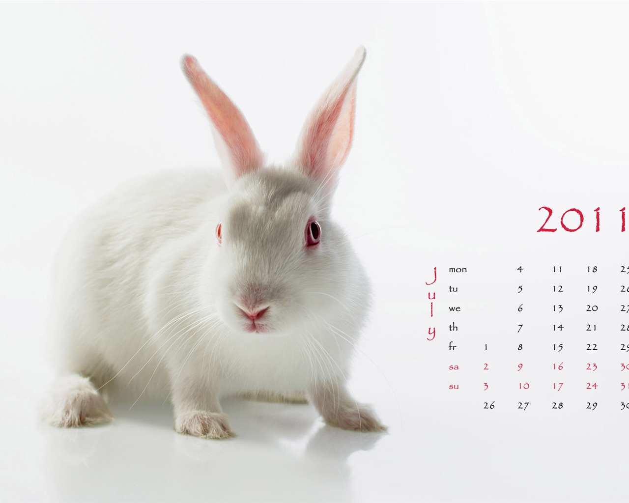 Jahr des Hasen Kalender 2011 Wallpaper (1) #7 - 1280x1024