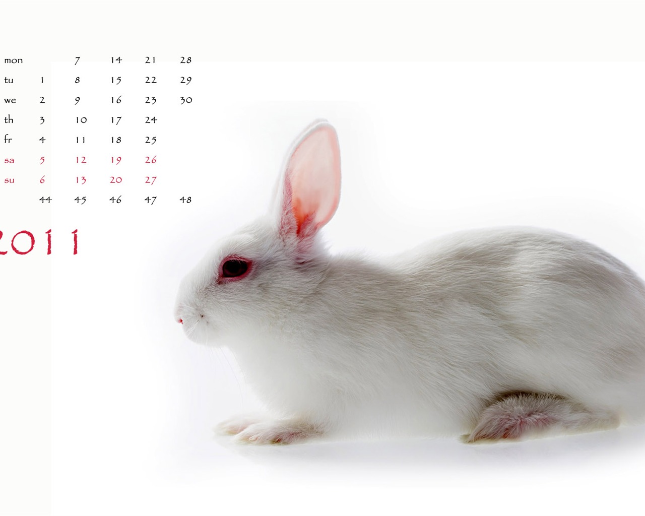 Year of the Rabbit 2011 calendar wallpaper (1) #11 - 1280x1024
