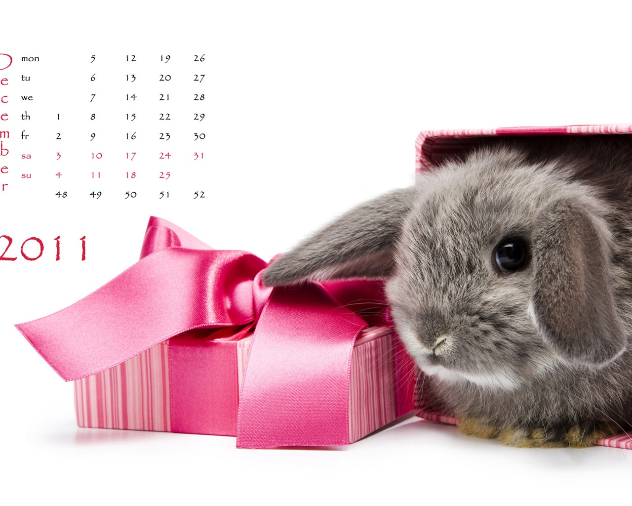 Year of the Rabbit 2011 calendar wallpaper (1) #12 - 1280x1024