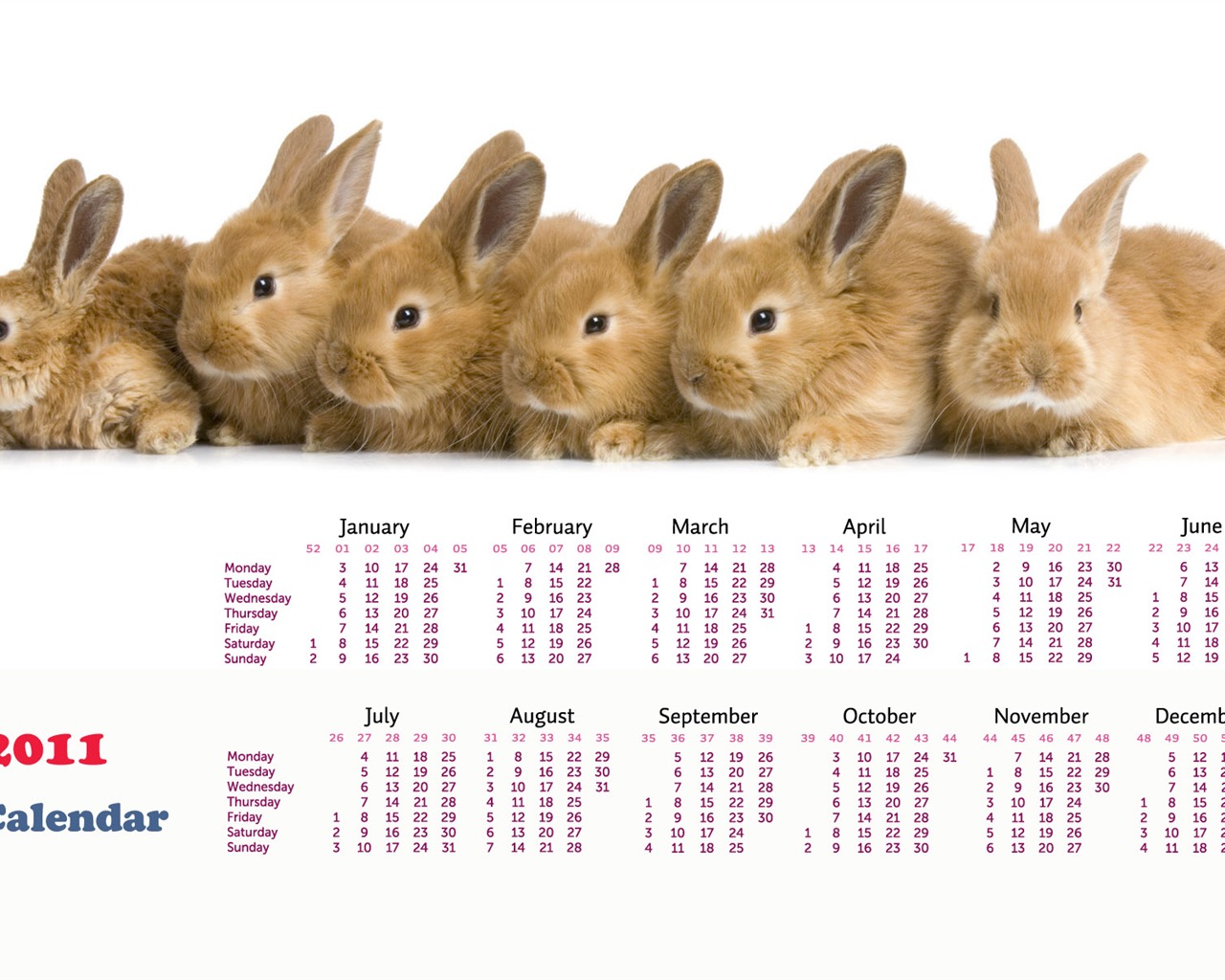 Year of the Rabbit 2011 calendar wallpaper (1) #14 - 1280x1024