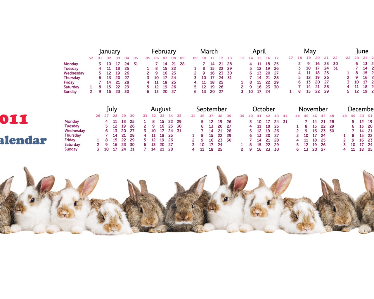 Year of the Rabbit 2011 calendar wallpaper (1) #15 - 1280x1024