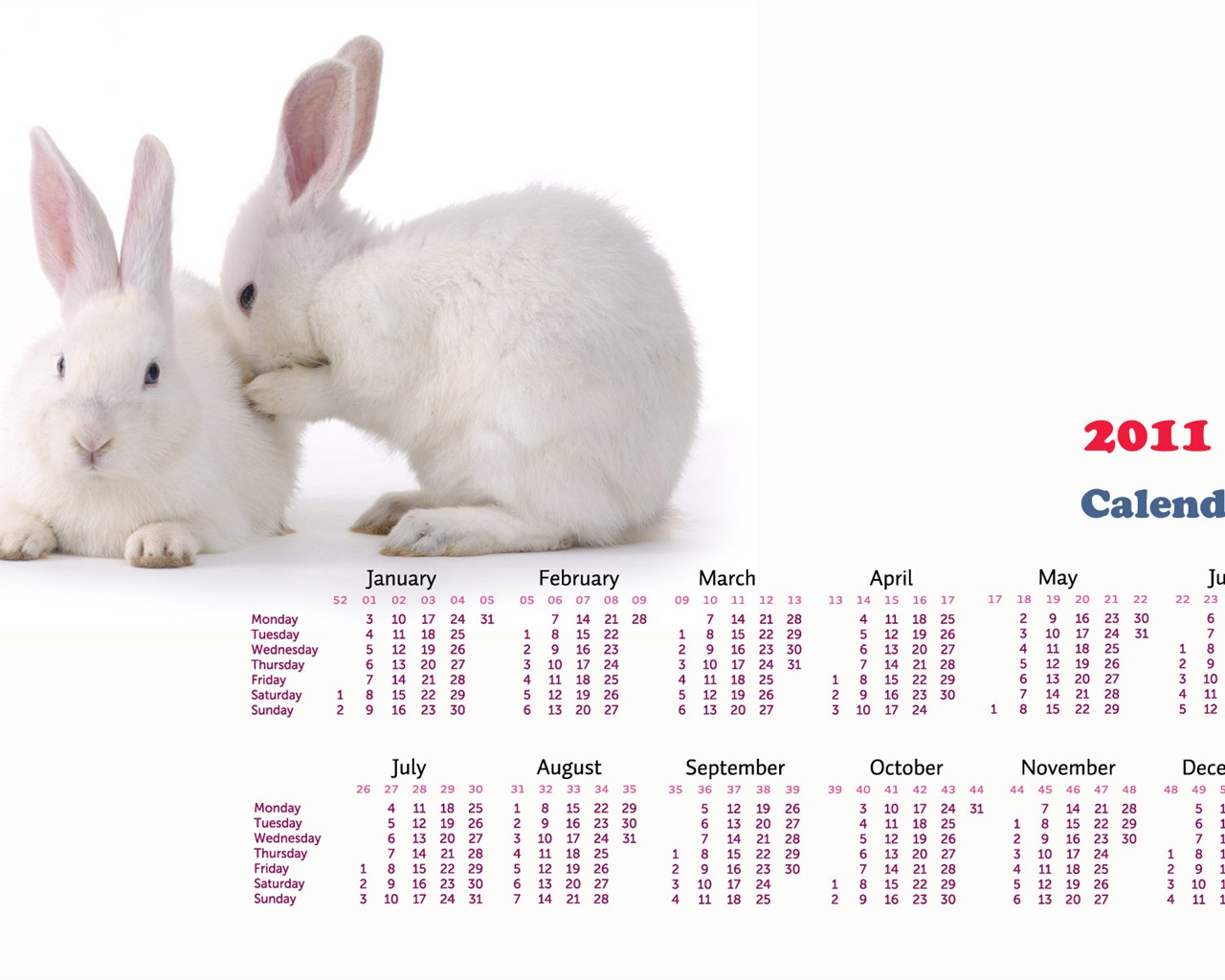 Year of the Rabbit 2011 calendar wallpaper (1) #17 - 1280x1024