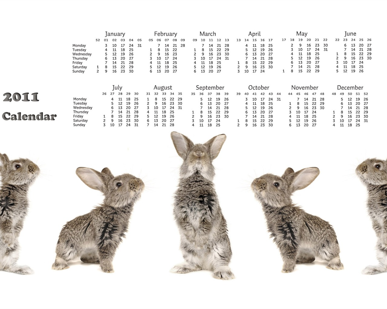 Year of the Rabbit 2011 calendar wallpaper (1) #18 - 1280x1024