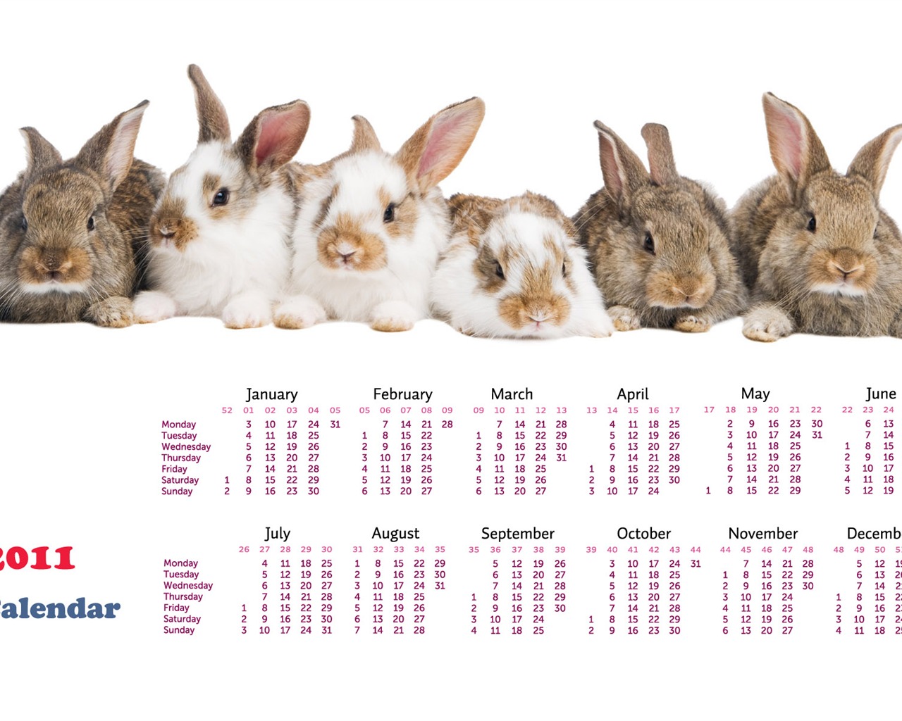 Year of the Rabbit 2011 calendar wallpaper (1) #19 - 1280x1024