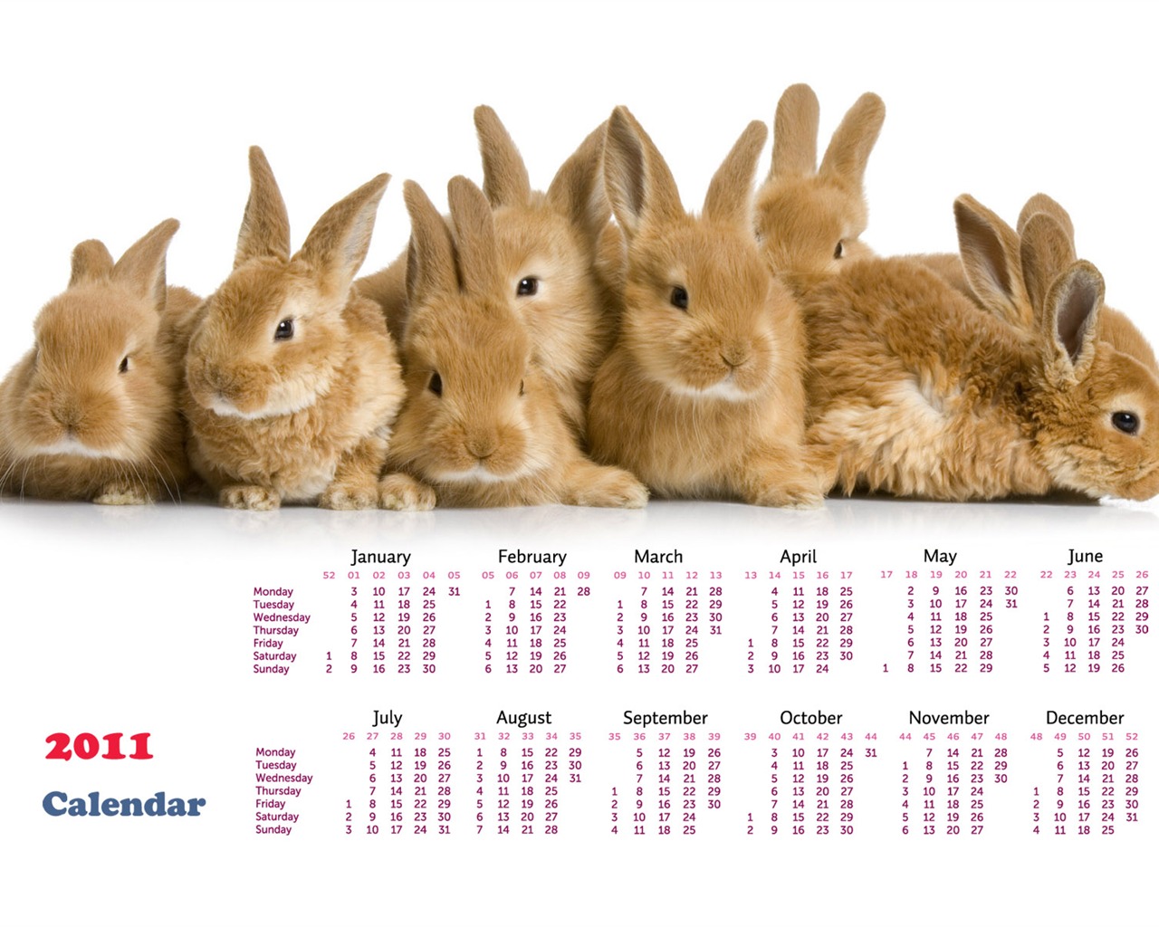 Year of the Rabbit 2011 calendar wallpaper (1) #20 - 1280x1024