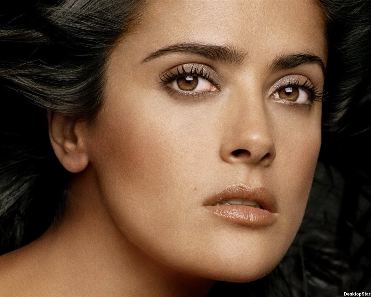 Salma Hayek krásnou tapetu (1) #28 - 1280x1024