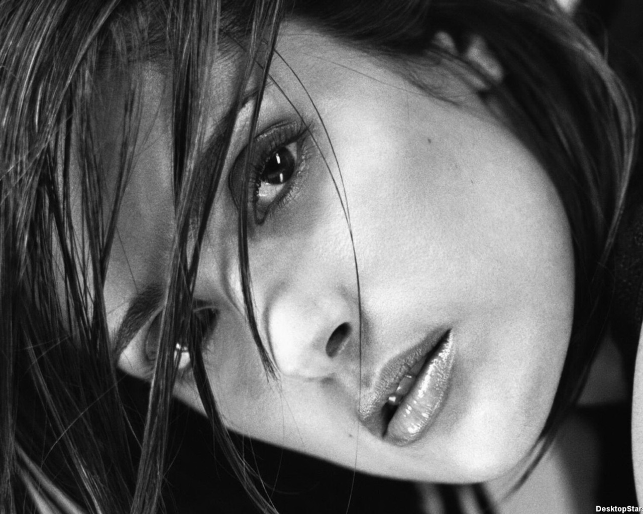 Salma Hayek krásnou tapetu (1) #35 - 1280x1024