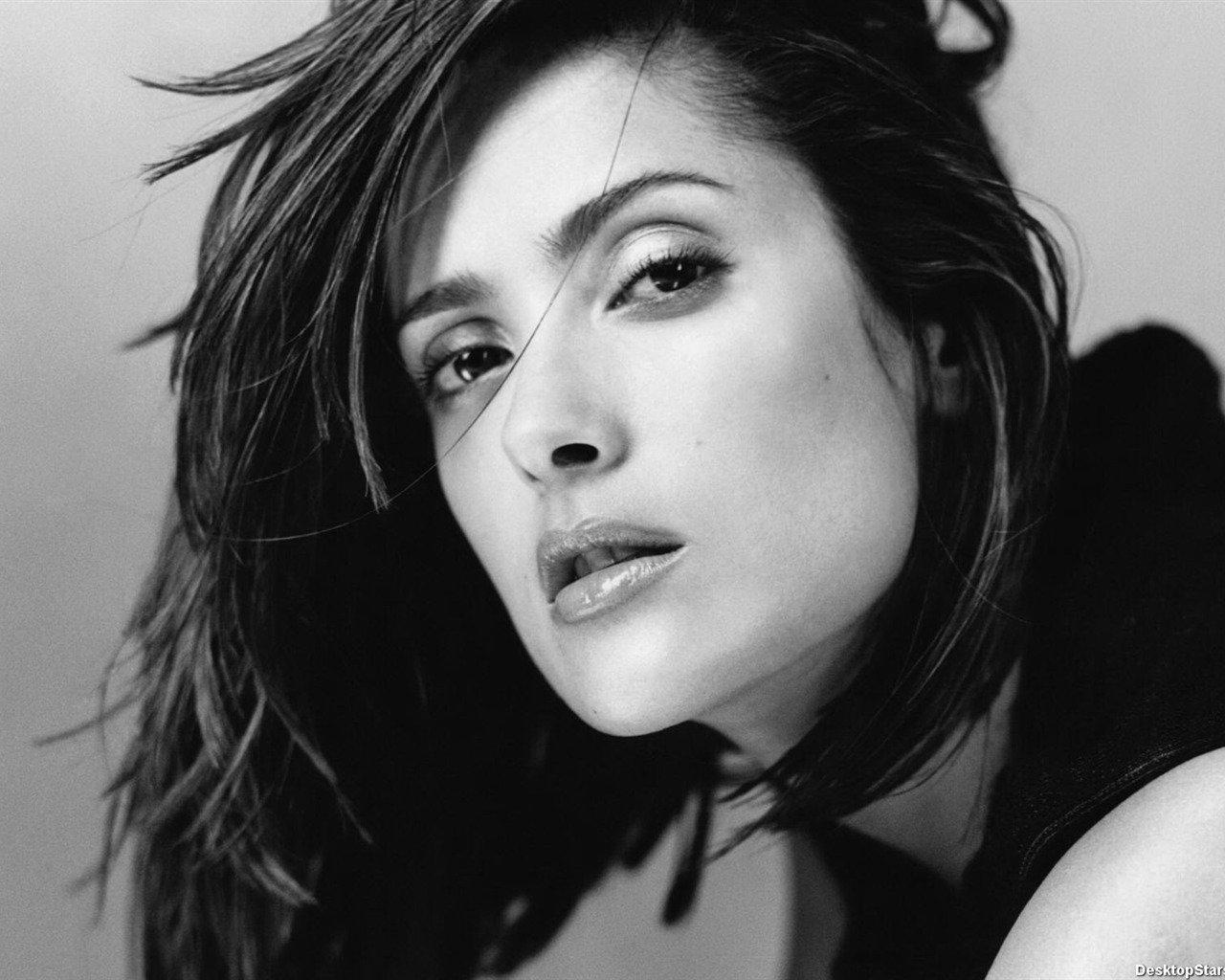Salma Hayek krásnou tapetu (2) #2 - 1280x1024