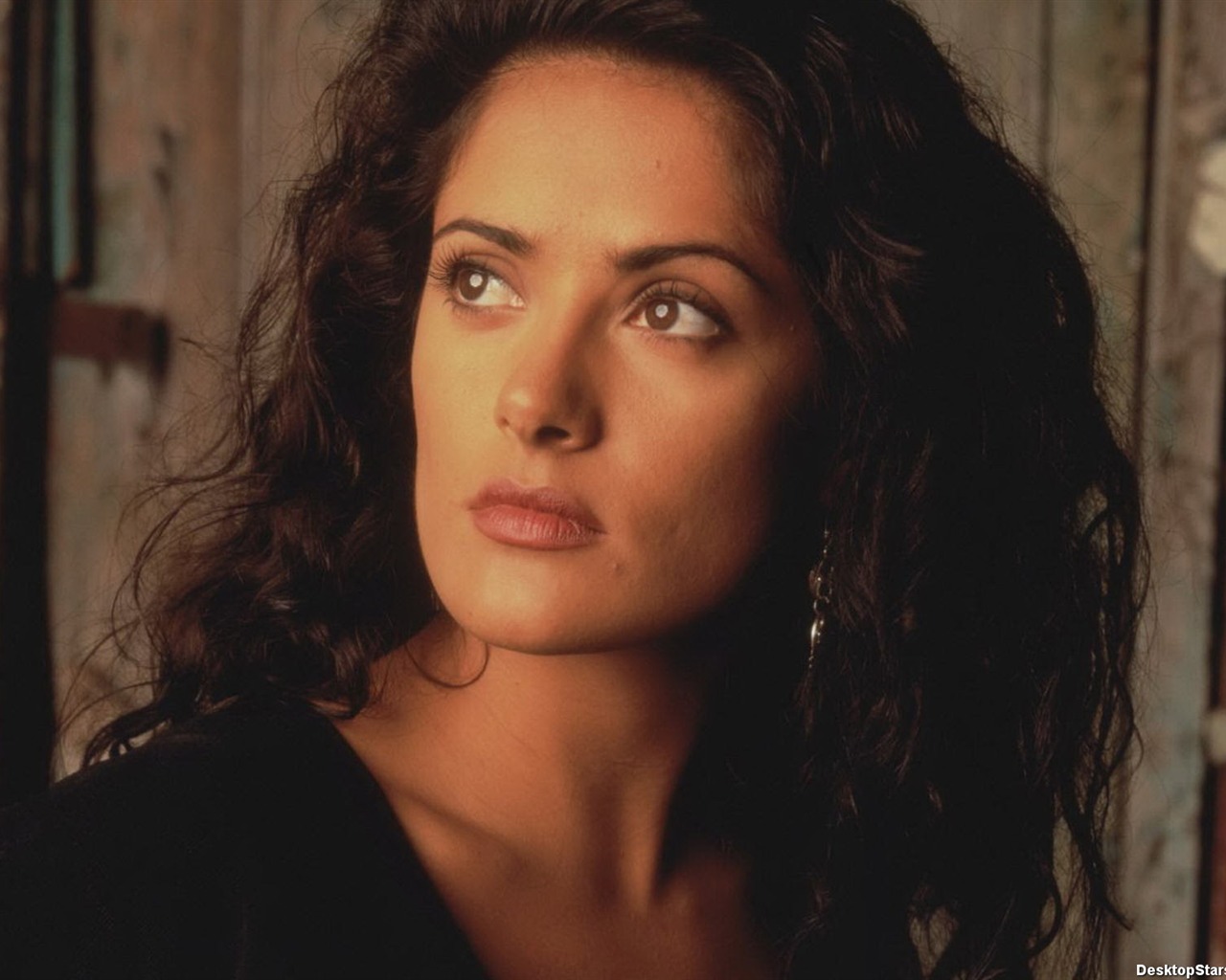 Salma Hayek krásnou tapetu (2) #34 - 1280x1024