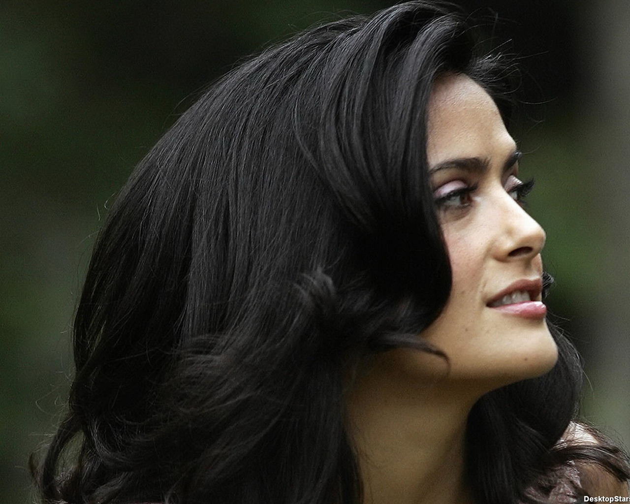 Salma Hayek krásnou tapetu (2) #38 - 1280x1024