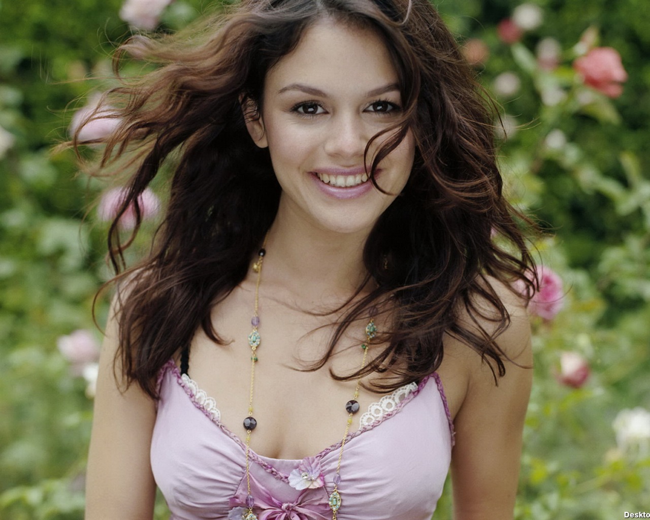 Rachel Bilson schöne Tapete (3) #28 - 1280x1024