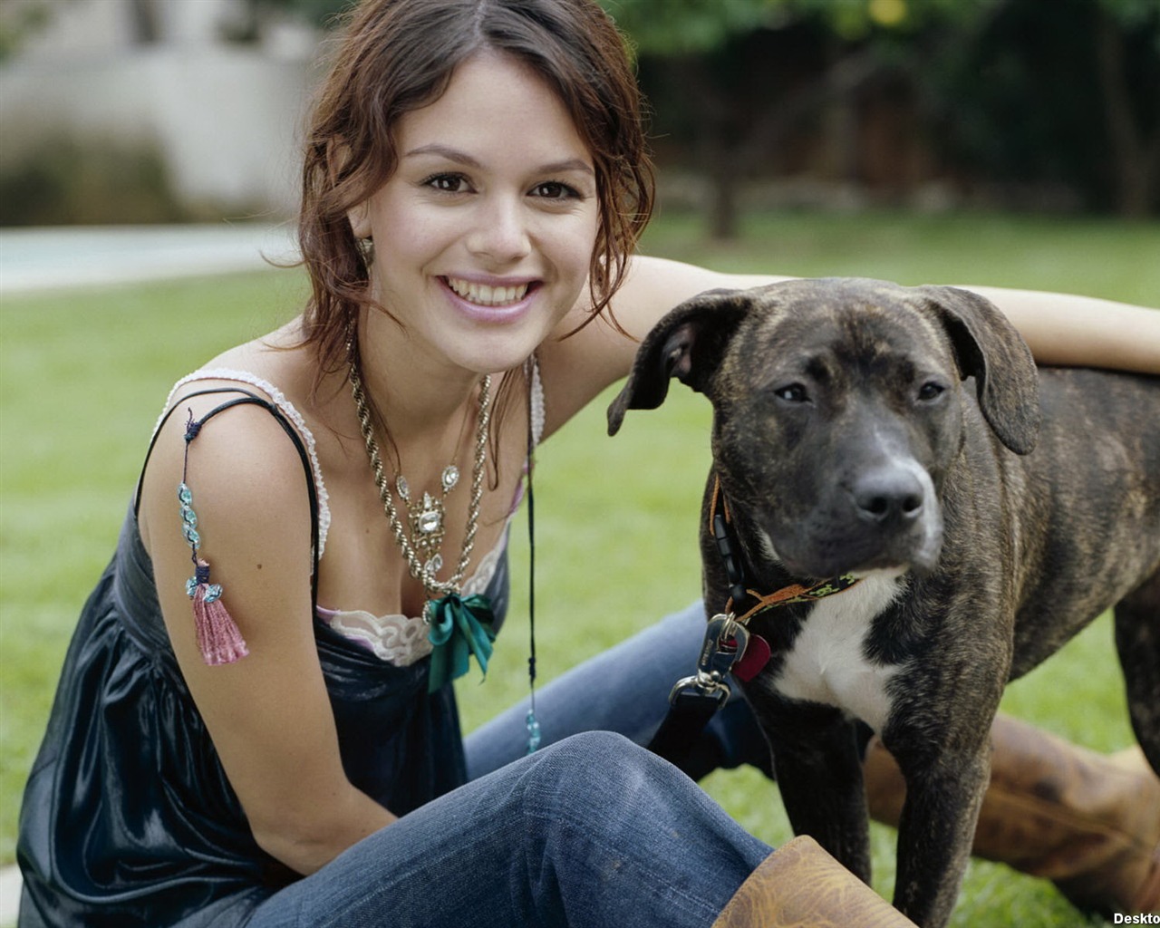 Rachel Bilson krásnou tapetu (3) #32 - 1280x1024