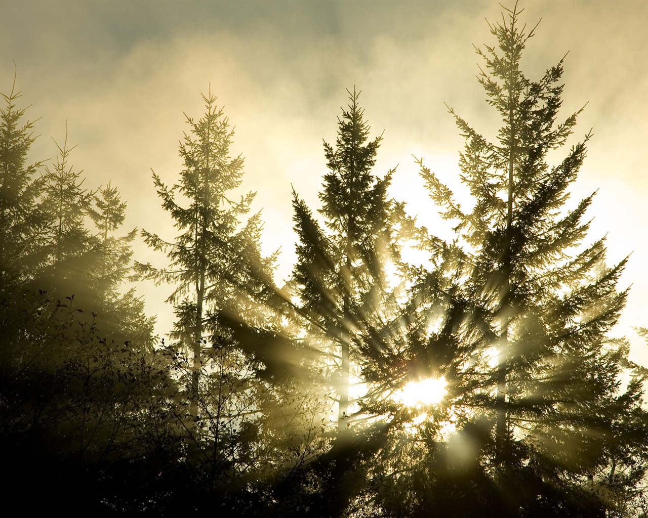Scenery Collection Wallpapers (56) #15 - 1280x1024