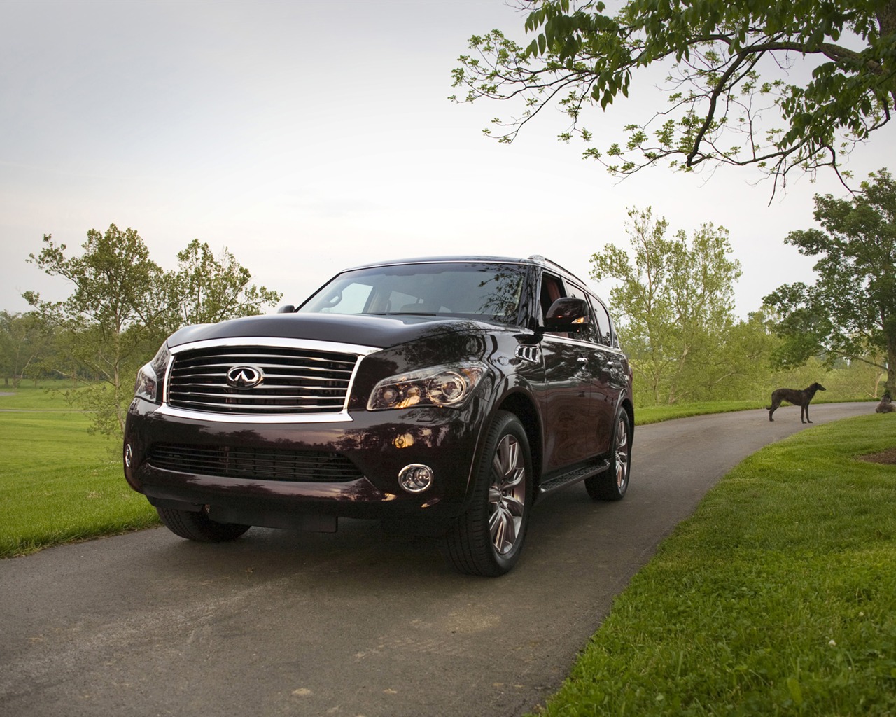 Infiniti QX56 - 2011 英菲尼迪 #1 - 1280x1024