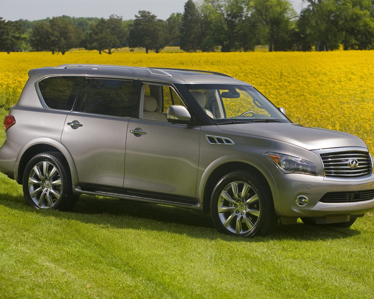 Infiniti QX56 - 2011 英菲尼迪 #13 - 1280x1024