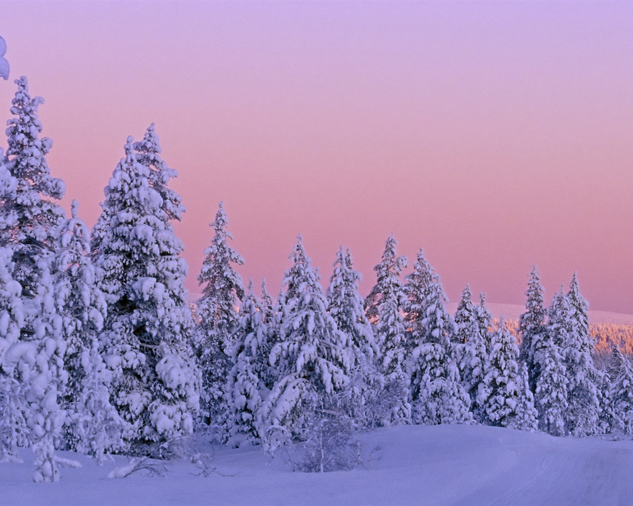 Snow Widescreen-Wallpaper (4) #2 - 1280x1024