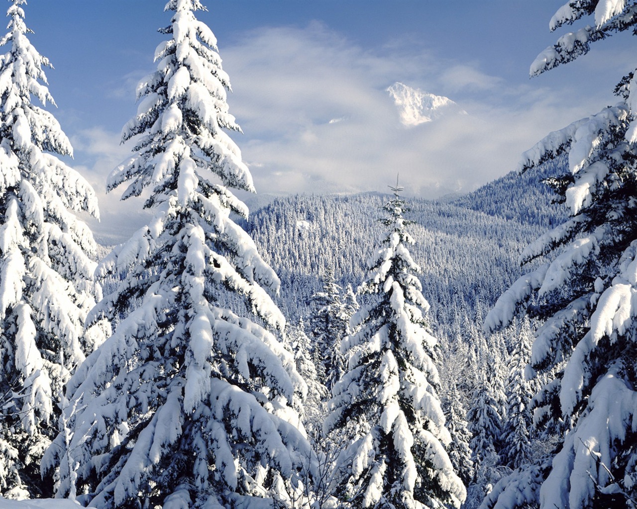 Fond d'écran panoramique de neige (4) #5 - 1280x1024