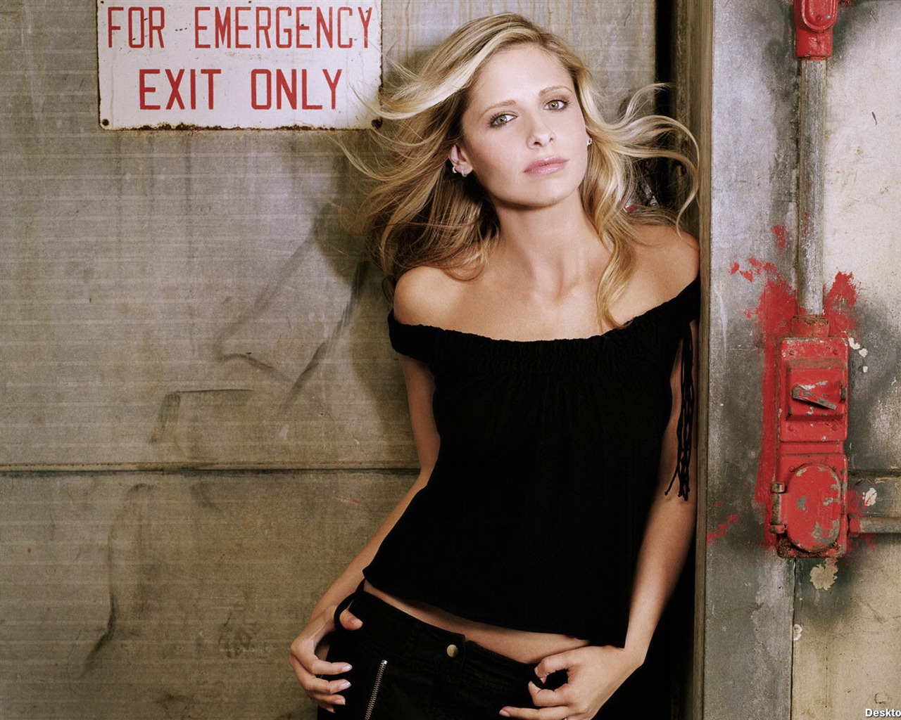 Sarah Michelle Gellar beautiful wallpaper (2) #35 - 1280x1024
