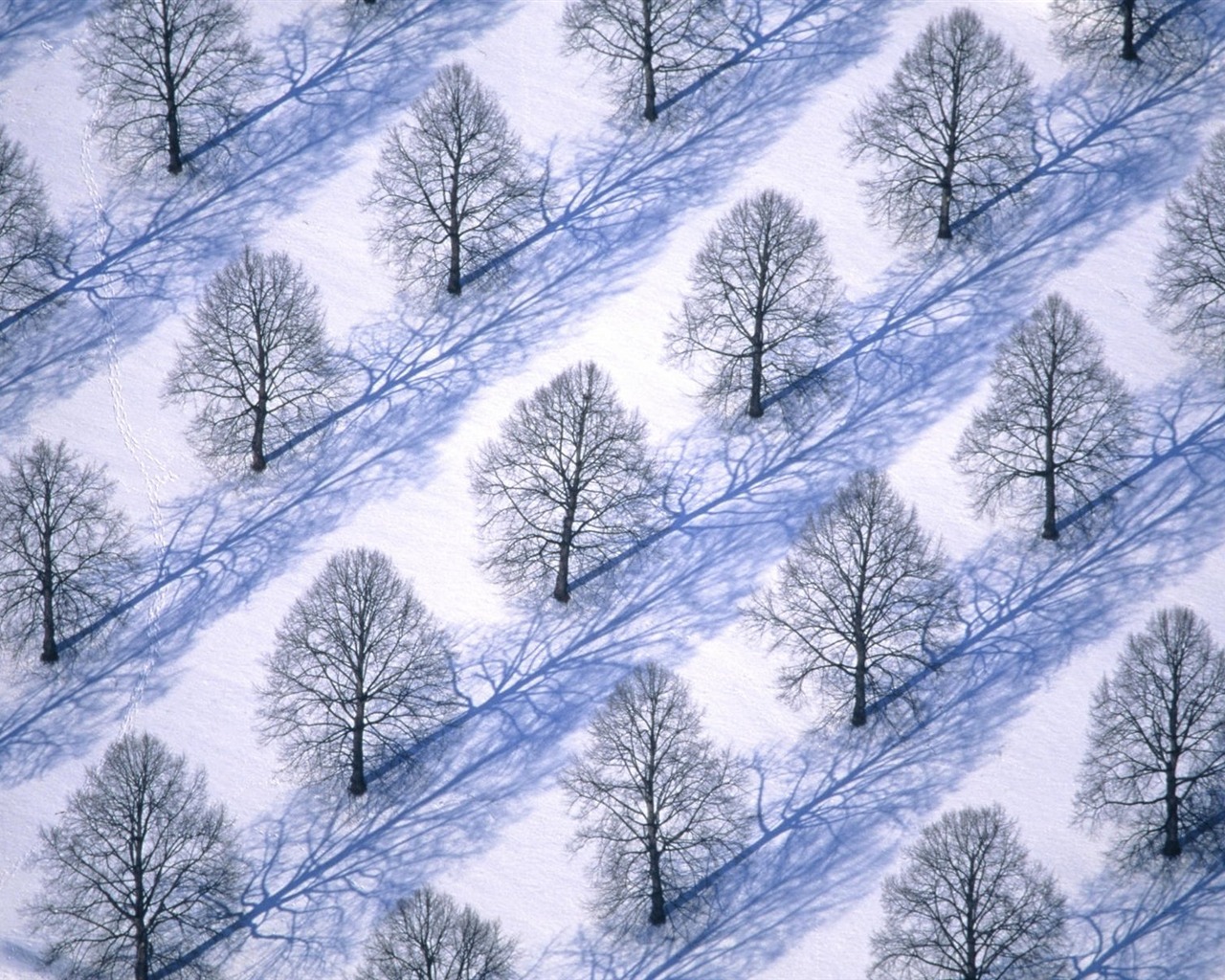 Tapety Krajina Kolekce (59) #20 - 1280x1024