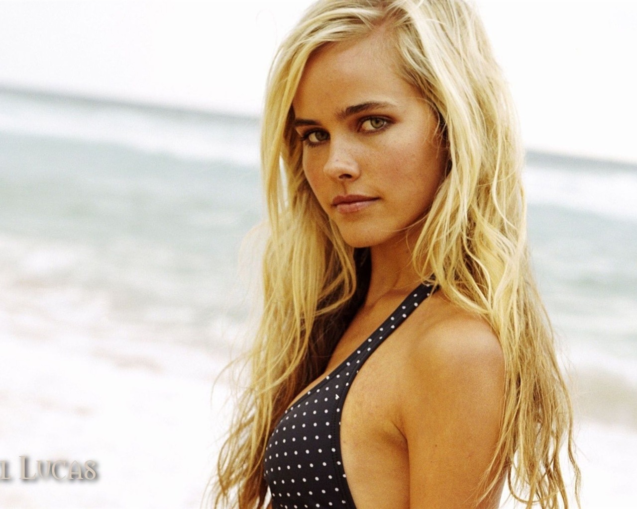 Isabel Lucas krásnou tapetu #1 - 1280x1024