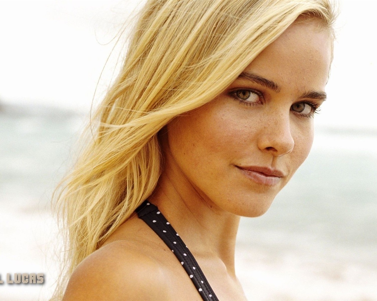 Isabel Lucas beautiful wallpaper #2 - 1280x1024