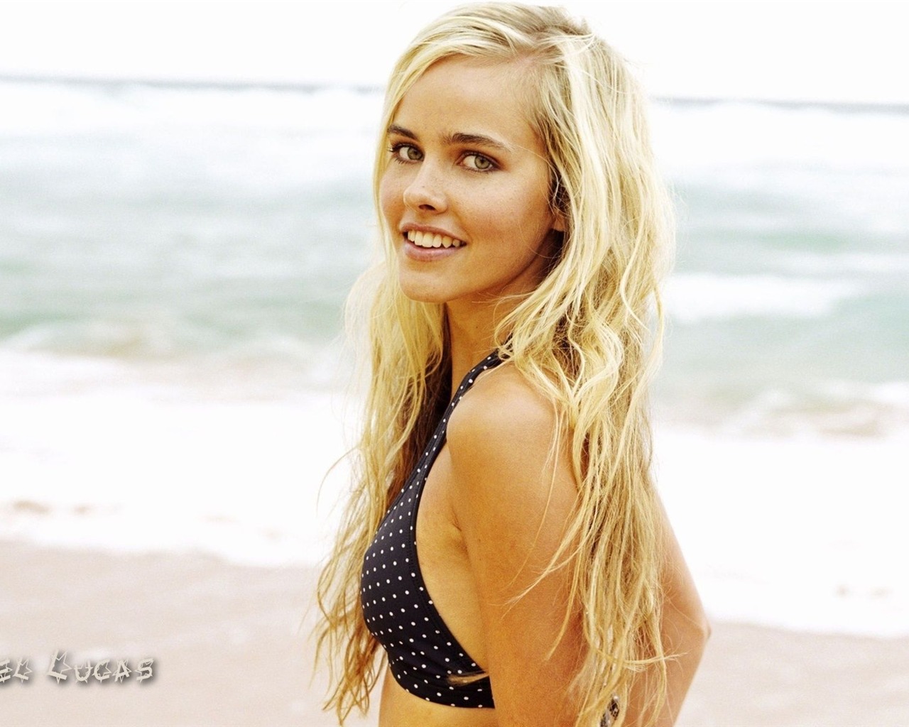 Isabel Lucas schöne Tapete #5 - 1280x1024