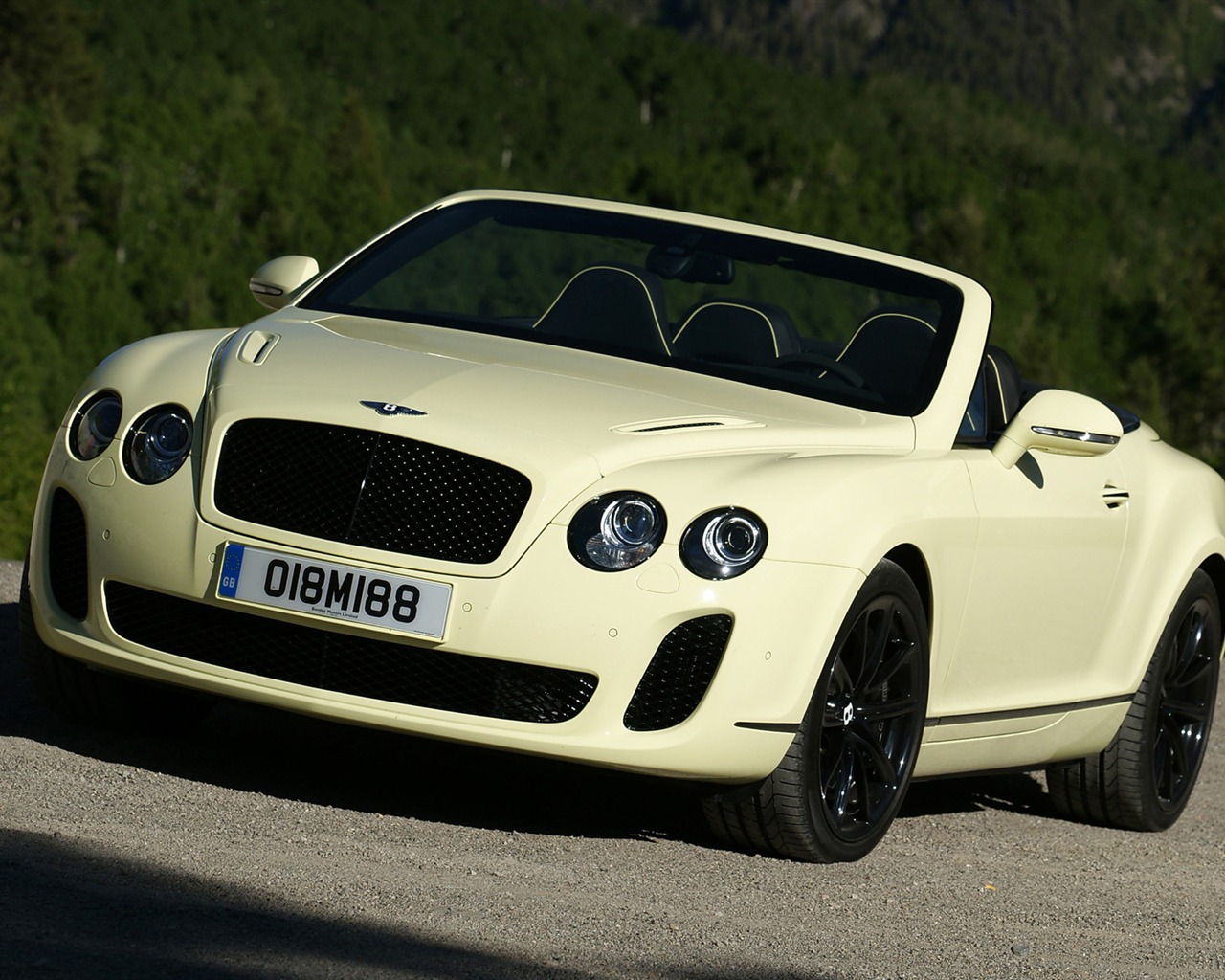 Bentley Continental Supersports Convertible - 2010 賓利 #14 - 1280x1024