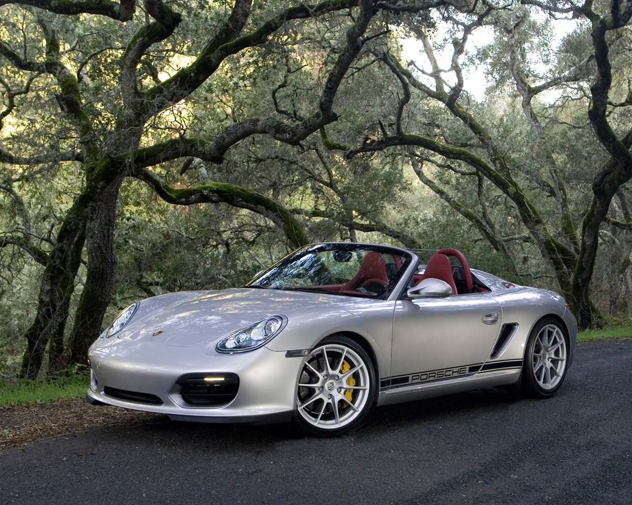Porsche Boxster Spyder - 2010 HD tapetu #36 - 1280x1024