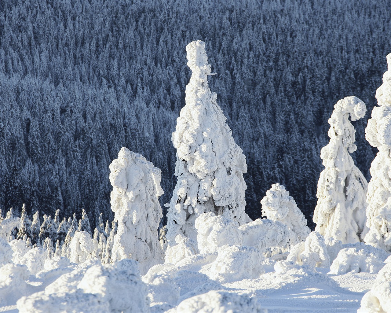 Tapety Krajina Kolekce (62) #3 - 1280x1024